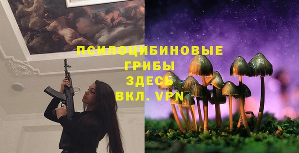 твердый Остров