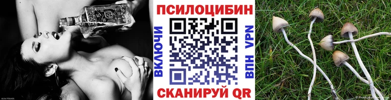Галлюциногенные грибы Cubensis  Западная Двина 